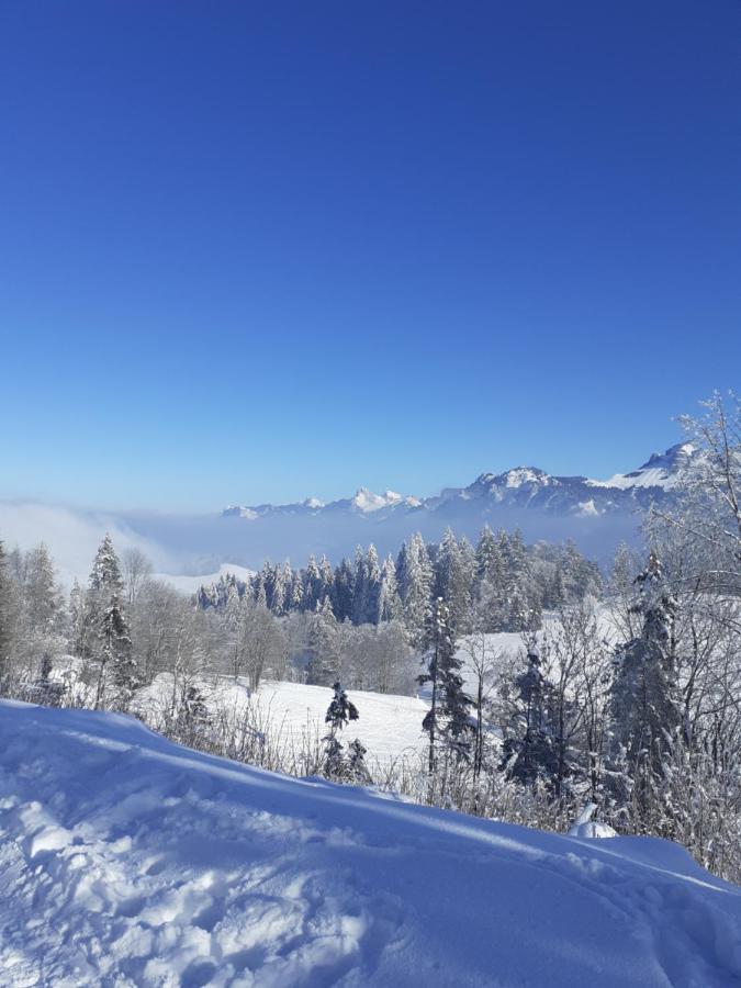 Charmant Appartement A 150 M Des Thermes Et Du Centre Ville Thonon-les-Bains Exteriér fotografie