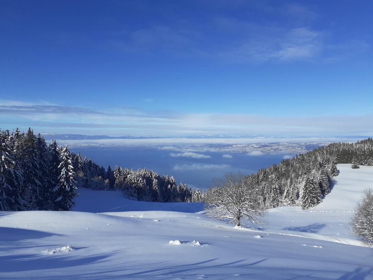 Charmant Appartement A 150 M Des Thermes Et Du Centre Ville Thonon-les-Bains Exteriér fotografie